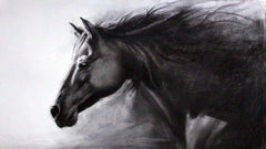 Charcoal Artworks & Wall Paintings