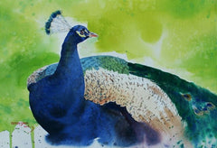 Peacock Paintings & Artworks on Canvas for Walls