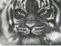 Unleash the Power: Breathtaking Tiger Paintings for Sale