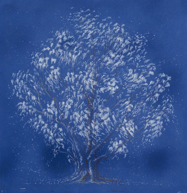 Nature charcoal artcontent titled 'Ahalyaji's Tree', 12x12 inches, by artist Bhakti Phatak on paper