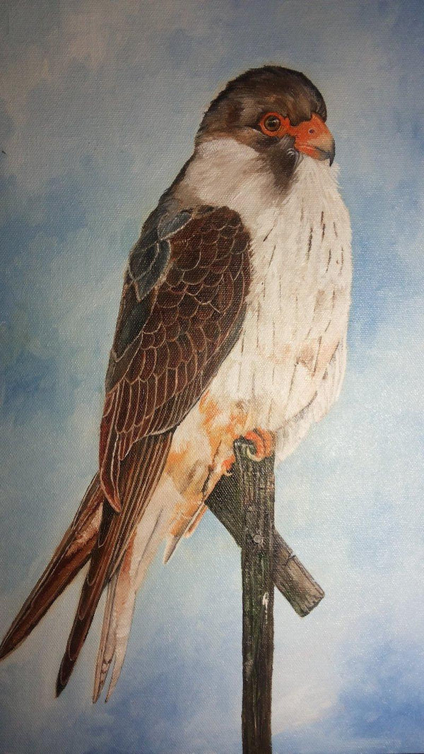 Animals oil painting titled 'Amur Falcon', 16x12 inches, by artist Yashodan Heblekar on Canvas Board