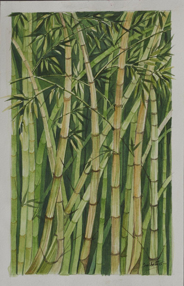 Nature watercolor artcontent titled 'Bamboo grove', 9x12 inches, by artist Sucheta Misra on paper