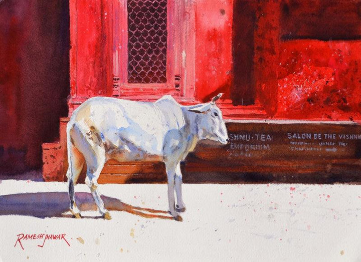 Animals watercolor painting titled 'Benares Cow', 10x14 inches, by artist Ramesh Jhawar on Paper