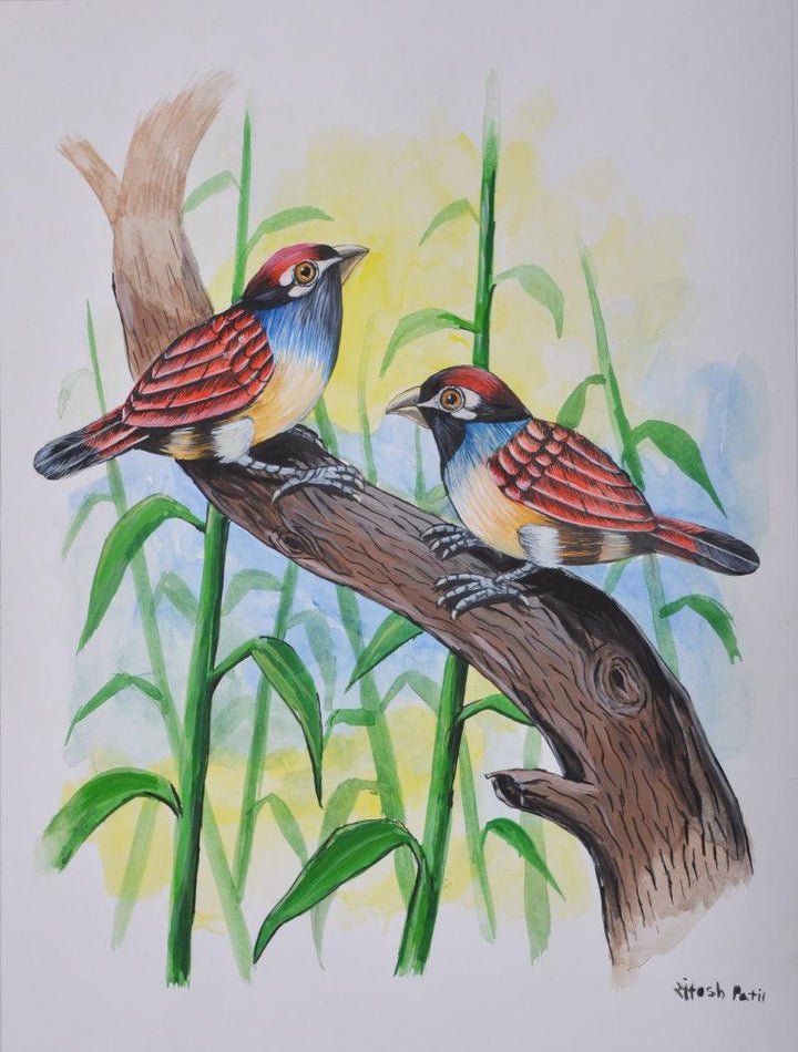 Animals watercolor painting titled 'Birds 225', 12x9 inches, by artist santosh patil on paper