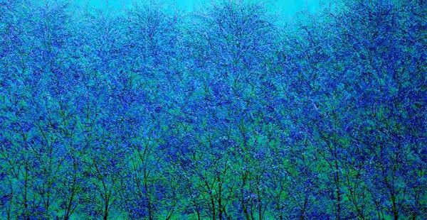 Nature oil painting titled 'Blue Soul', 32x72 inches, by artist Pardeep Singh on Canvas