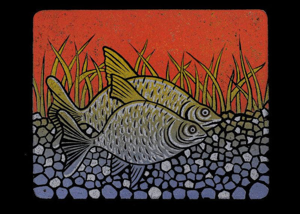 Animals printmaking titled 'Bream', 4x5 inches, by artist Arvind Sharma on Paper