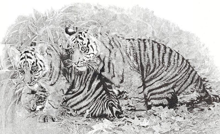 Animals pen drawing titled 'Brothers', 17x23 inches, by artist Surya Murthy on Paper