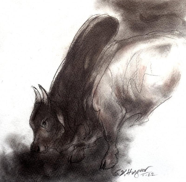 Animals charcoal drawing titled 'Bull 10', 8x8 inches, by artist Shivu Hugar on Paper
