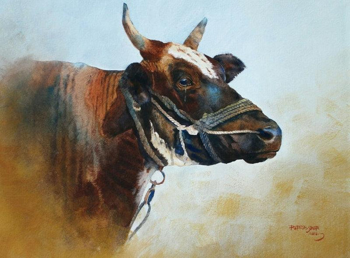 Animals watercolor painting titled 'Crying Cow', 14x17 inches, by artist Rupesh Sonar on Paper