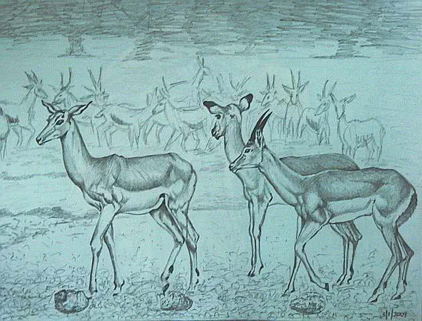 Animals pencil drawing titled 'Deer', 12x16 inches, by artist Rajendra V on Paper