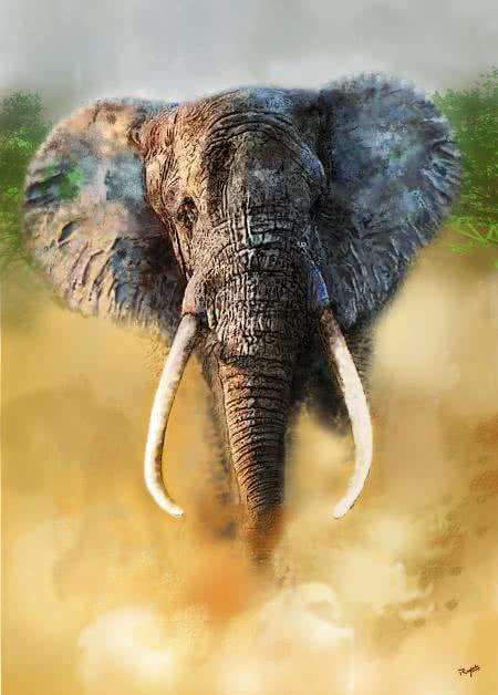 Animals Digital Painting digital art titled 'Elephant', 16x11 inches, by artist Rajesh Nayak on canvas