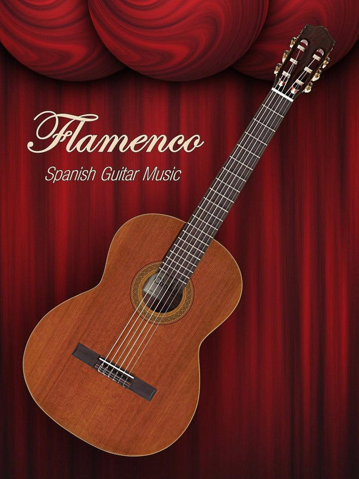 Music photography titled 'Flamenco Spanish Guitar Music', 15x11 inches, by artist Shavit Mason on