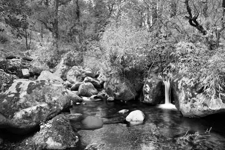 Photograph print titled 'Forest Stream 2', 24x36 on Paper, by artist Gautham Manohar