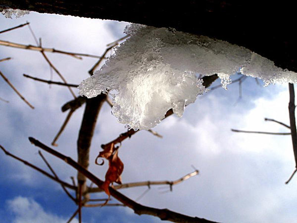 Nature photography titled 'Fragmented Ice', 11x15 inches, by artist Rohit Belsare on