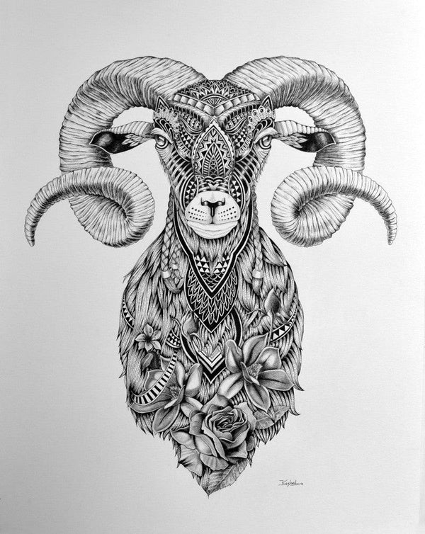 Animals pen drawing titled 'Goat 3', 30x22 inches, by artist Kushal Kumar on Paper