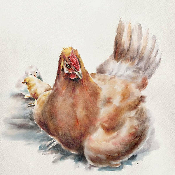 Other watercolor painting titled 'Hen', 10x8 inches, by artist Kaukab Ahmad on Paper