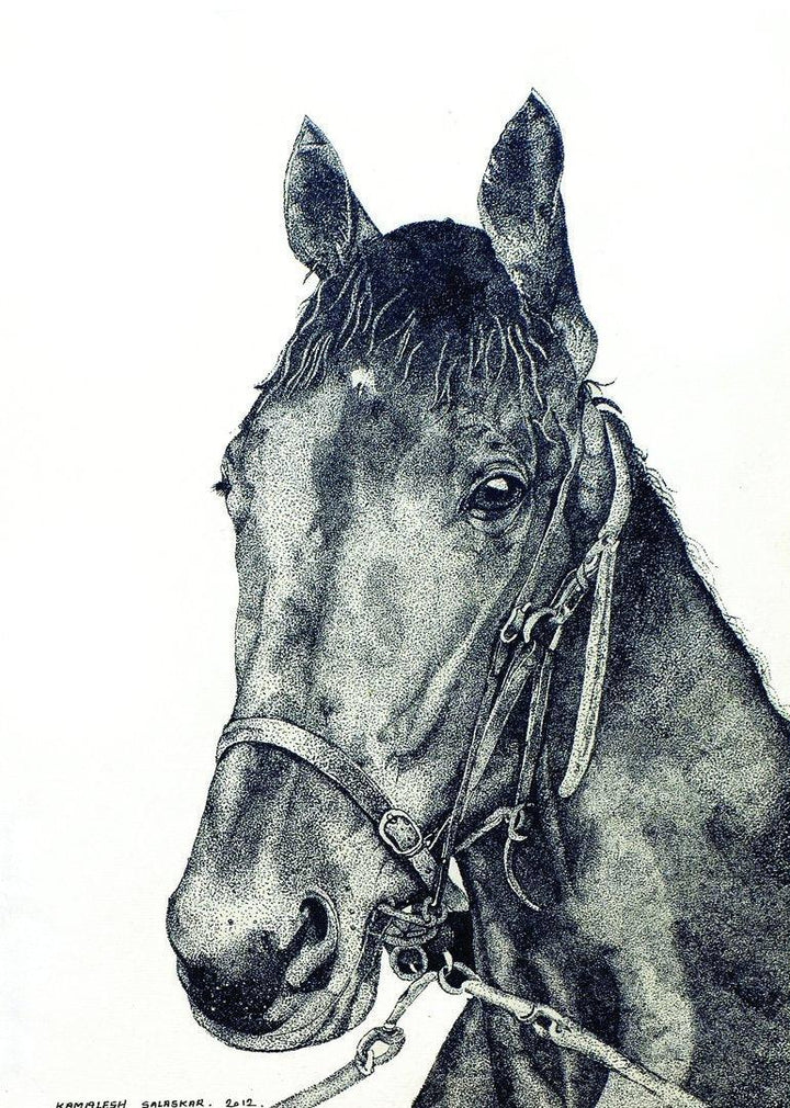 Animals ink drawing titled 'Horse 1', 20x16 inches, by artist Kamalesh Salaskar on Paper