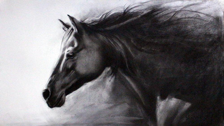 Animals charcoal drawing titled 'Horse Charcoal', 20x12 inches, by artist Sundeep Kumar on Paper