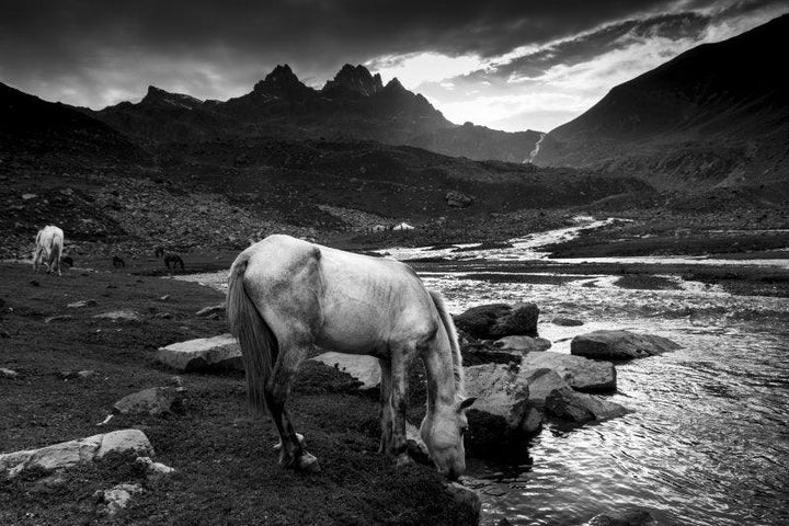 Nature photography titled 'Landscape 29', 11x17 inches, by artist Satyaki Biswas on