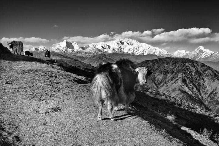 Nature photography titled 'Landscape 32', 11x17 inches, by artist Satyaki Biswas on