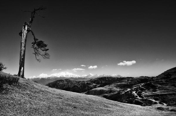 Nature photography titled 'Landscape 43', 11x17 inches, by artist Satyaki Biswas on