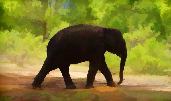 Animals Photomanipulation digital art titled 'Lone Little Giant', 11x19 inches, by artist ANIL KUMAR K on canvas