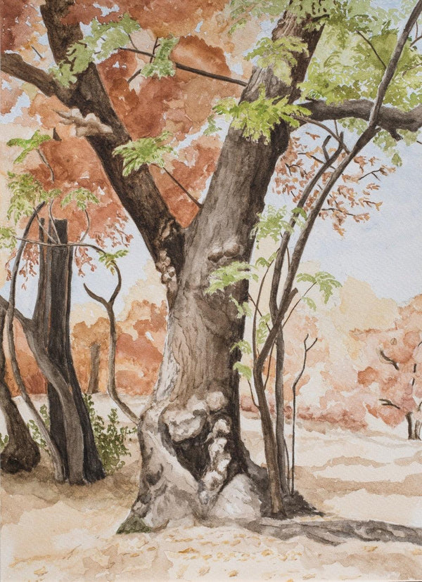 Nature watercolor artcontent titled 'Magical Hues', 18x12 inches, by artist Sadhana RV on Paper