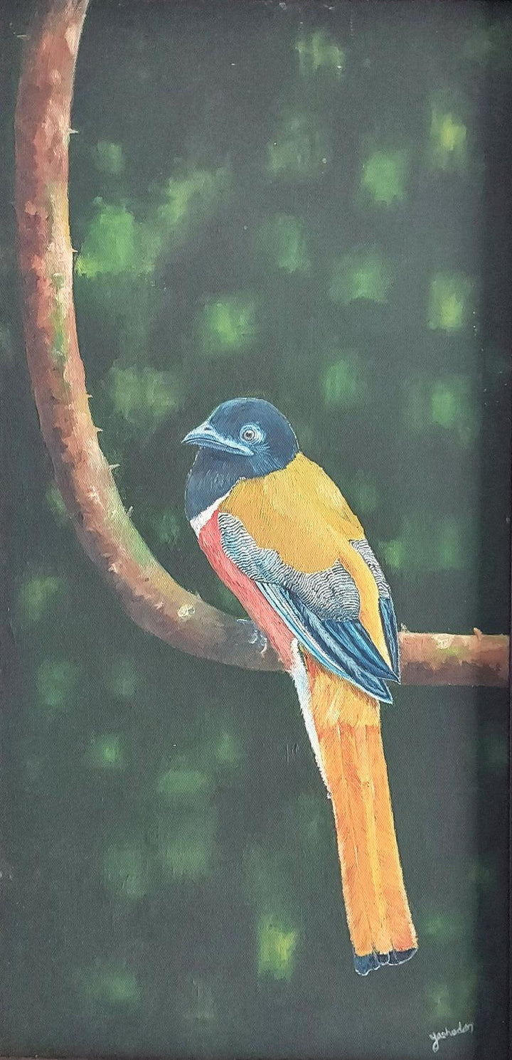 Animals oil painting titled 'Malabar Trogon', 24x12 inches, by artist Yashodan Heblekar on Canvas