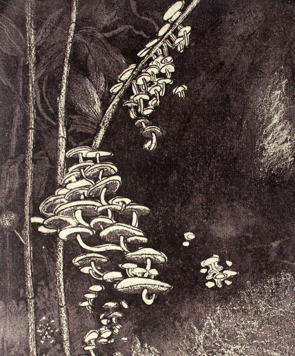 contemporary printmaking titled 'Mushrooms In The Woods 3', 7x6 inches, by artist Prachi Sahasrabudhe on Paper