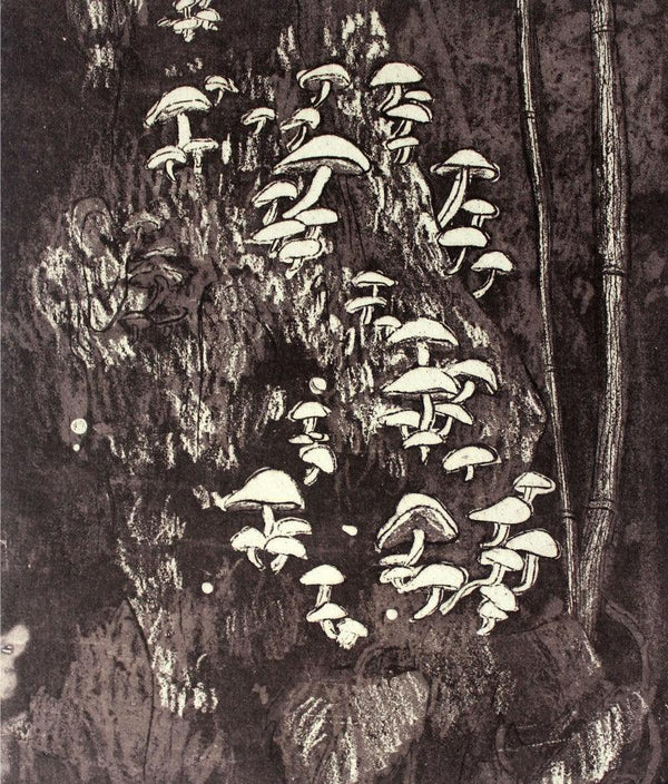 contemporary printmaking titled 'Mushrooms In The Woods 4', 7x6 inches, by artist Prachi Sahasrabudhe on Paper