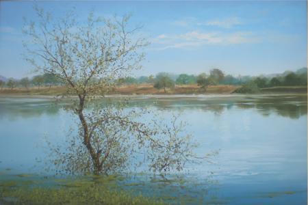 Landscape oil painting titled 'Nature Reflection I', 20x30 inches, by artist Fareed Ahmed on Canvas