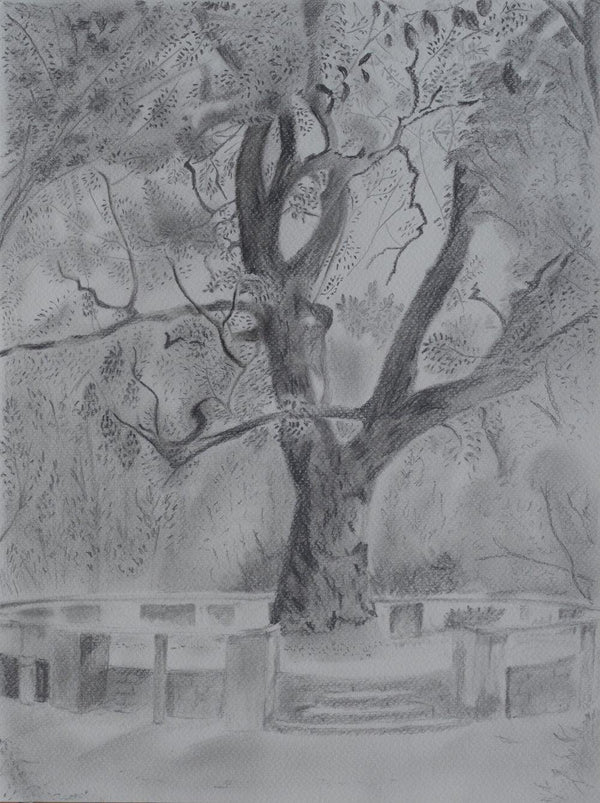 Nature pencil artcontent titled 'Neem Circle', 12x16 inches, by artist Srinivasan R on paper