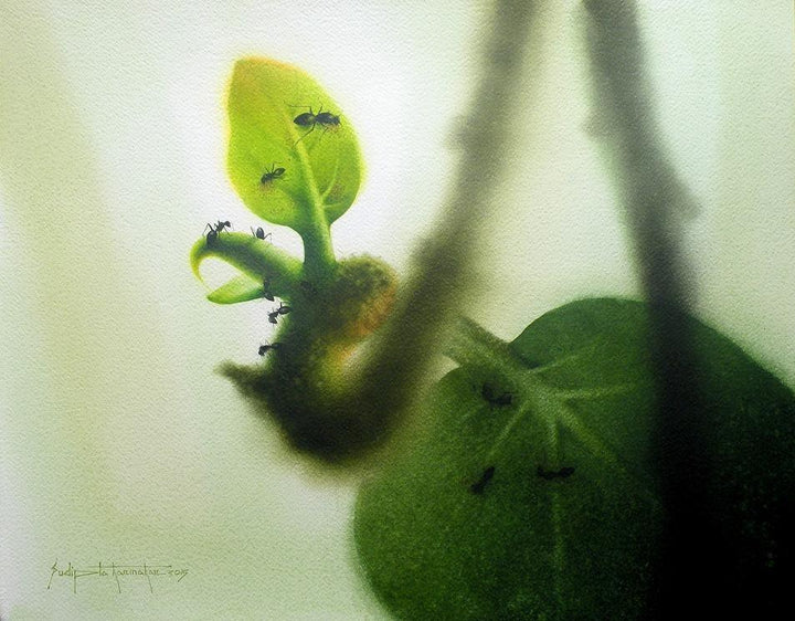 Nature watercolor painting titled 'New Life', 18x23 inches, by artist Sudipta Karmakar on Paper