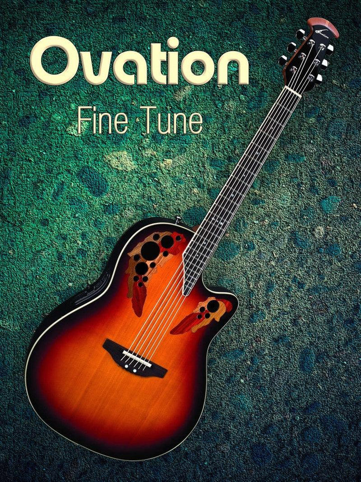 Music photography titled 'Ovation Fine Tune', 15x11 inches, by artist Shavit Mason on