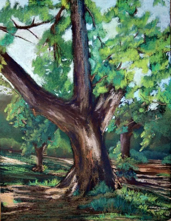 Impressionist pastel titled 'Pastel Tree', 15x19 inches, by artist Niharika Garg on Chowky board Framed