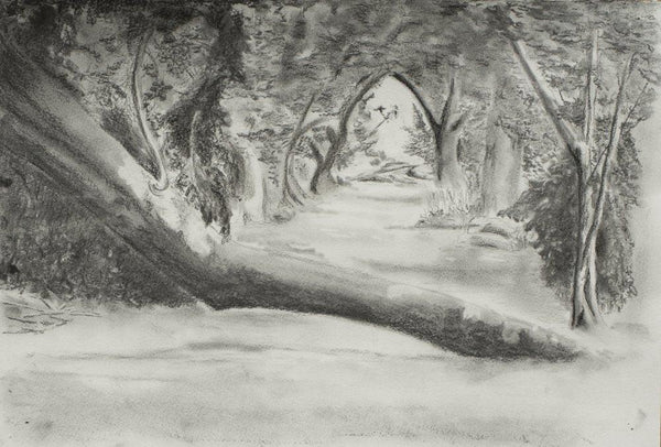 Nature charcoal artcontent titled 'Path less travelled', 22x15 inches, by artist Ganesh Mohan on Paper