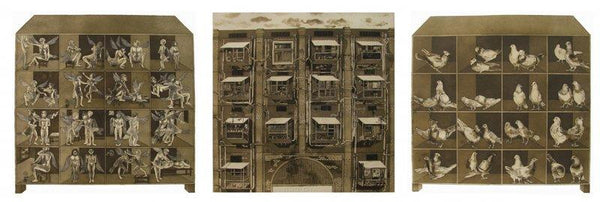 Cityscape etching drawing titled 'Pigeoned home', 30x72 inches, by artist Mangesh  Kapse on Paper