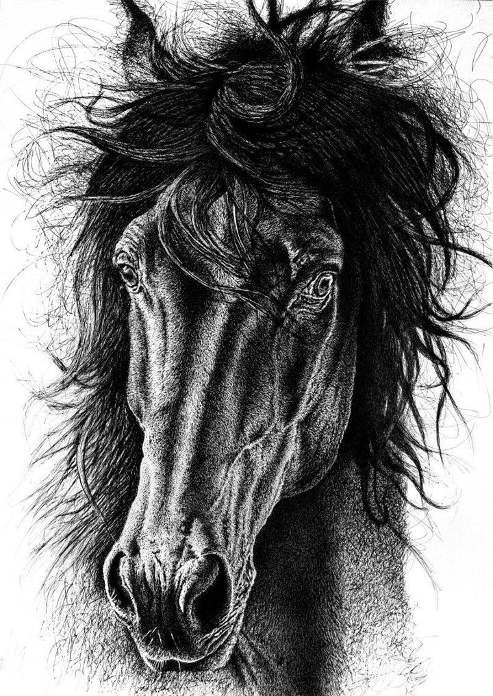 Animals pen ink drawing titled 'Portrait Of Speed', 42x30 inches, by artist Pratap Chakraborty on Paper