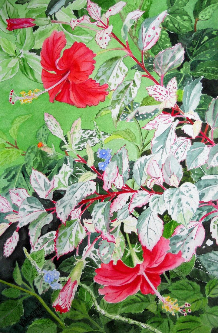 Photorealistic watercolor painting titled 'Red Hibiscus Variegated', 18x12 inches, by artist Vishwajyoti Mohrhoff on Campap Paper