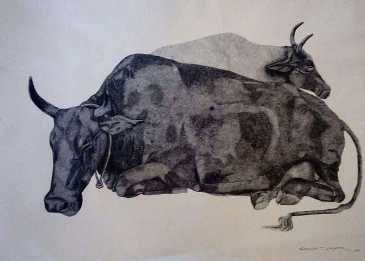 Animals ink drawing titled 'Resting Cow', 22x28 inches, by artist Kamalesh Salaskar on Paper