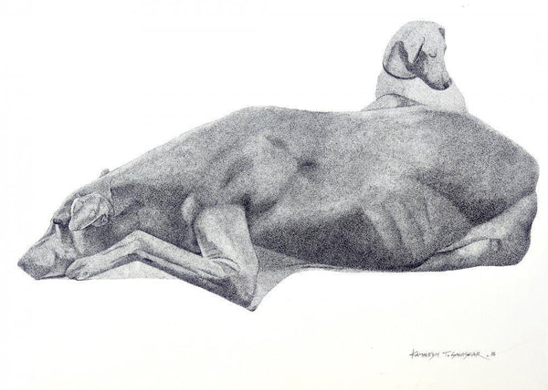 Animals ink drawing titled 'Resting Dog', 20x28 inches, by artist Kamalesh Salaskar on Paper