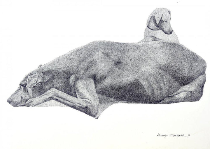 Animals ink drawing titled 'Resting Dog', 20x28 inches, by artist Kamalesh Salaskar on Paper