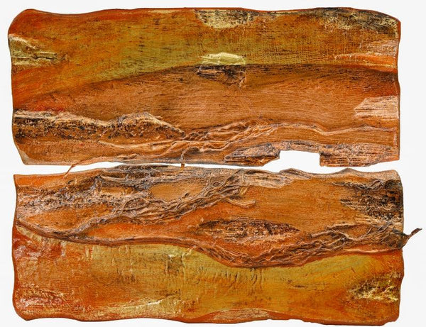 Abstract mixed media titled 'Roots And Pathway 13', 18x24 inches, by artist Ami Patel on Copper