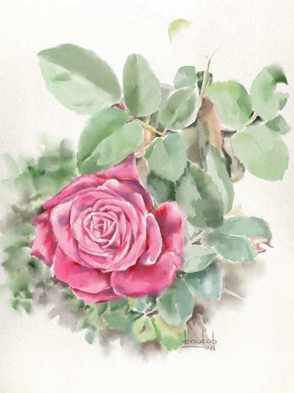 Other watercolor painting titled 'Rose1', 10x8 inches, by artist Kaukab Ahmad on Paper