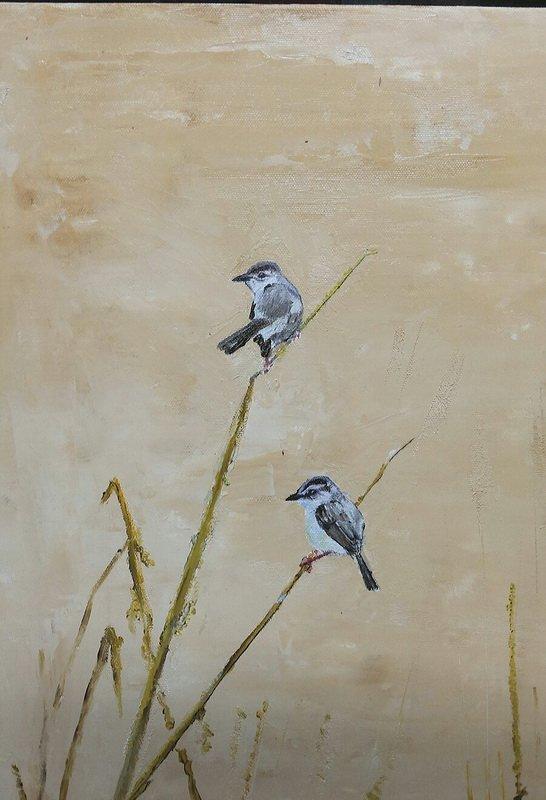 Animals oil painting titled 'Sitting Cisticolas', 16x12 inches, by artist Yashodan Heblekar on Canvas Board