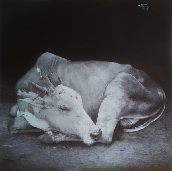 Animals pen drawing titled 'Sleeping Cow', 22x22 inches, by artist Nagesh Devkar on Paper