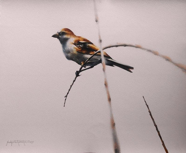 Animals watercolor painting titled 'Sparrow Bird Bird Series 1', 22x27 inches, by artist Sudipta Karmakar on Paper