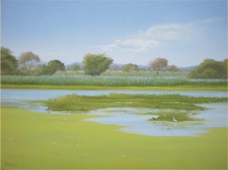 Landscape oil painting titled 'Sunny Morning', 18x24 inches, by artist Fareed Ahmed on Canvas