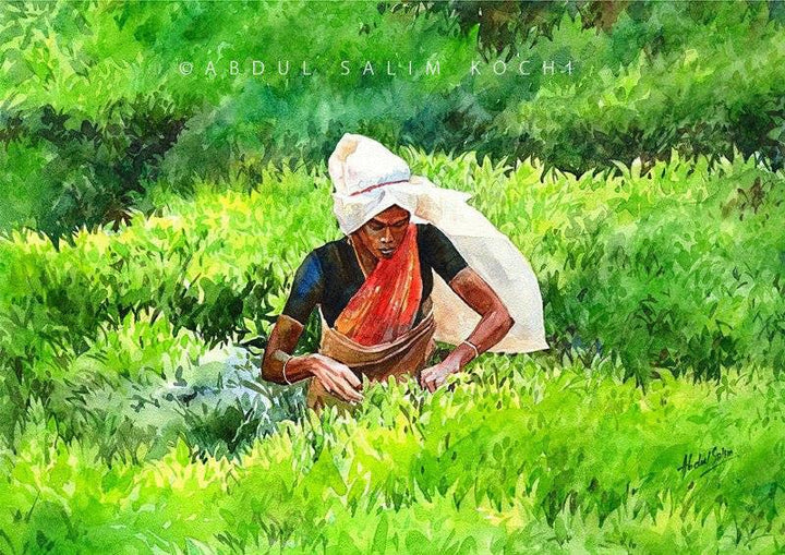 Figurative watercolor painting titled 'Tea Estate', 16x20 inches, by artist Abdul Salim on Paper