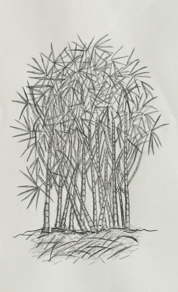 Nature charcoal artcontent titled 'The Bamboo Grove', 12x18 inches, by artist Poonam KD on Paper